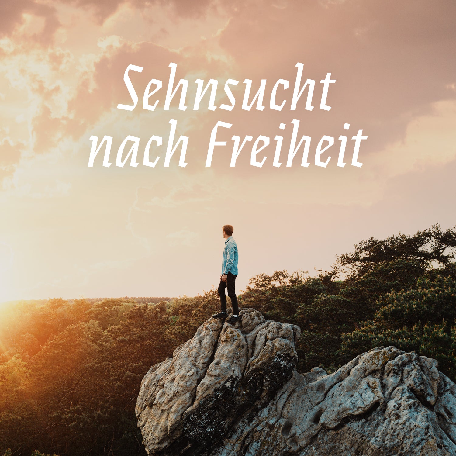 Sehnsucht nach Freiheit (Playback)